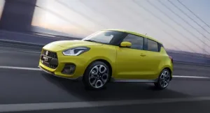 Co oferuje mini assistance?